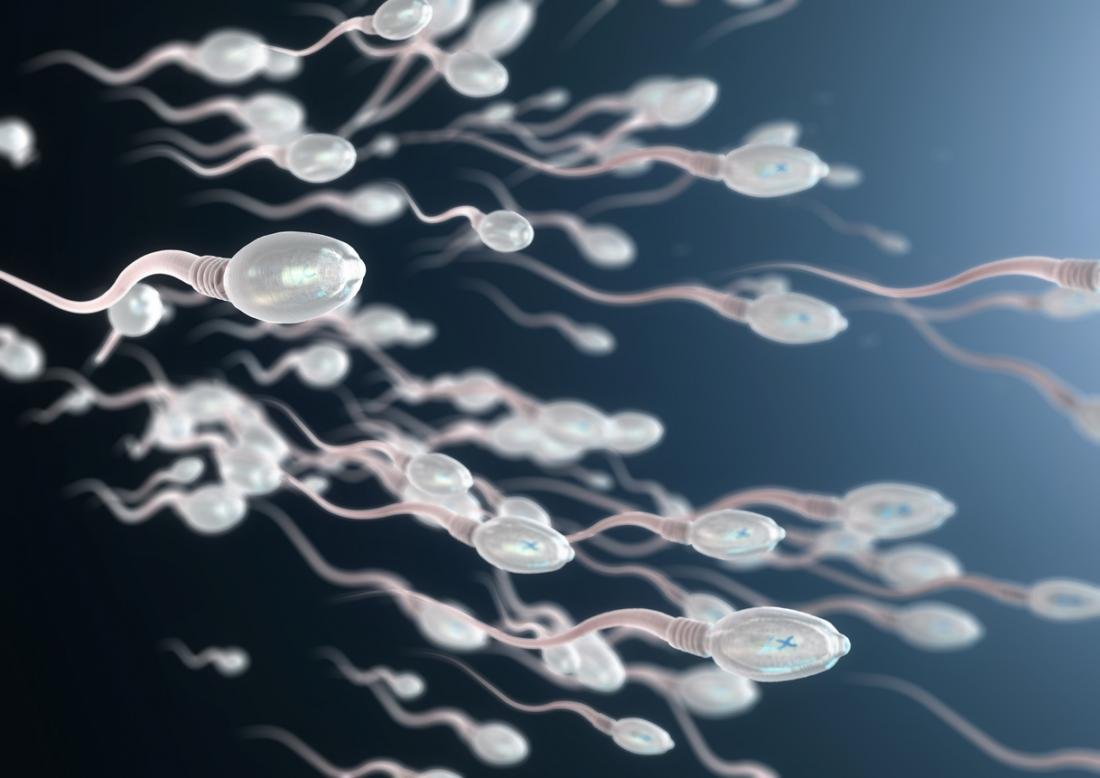 Sperm Motility Treatment Medicine In Nagpur