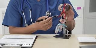 Best Medicine For Low Sperm Motility In Nagpur