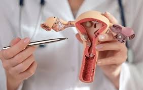 Vaginal Tightening In Nagpur
