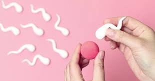 Best Fertility Medicine For Female In Raipur