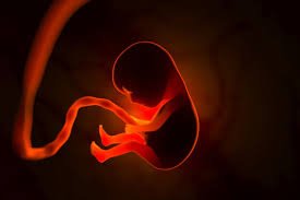 Best Frozen Embryo Transfer Center In Jabalpur
