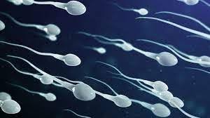Best Medicine For Azoospermia In Raipur