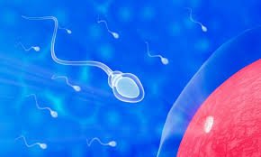 Best Semen Analysis Center In Jabalpur