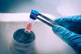 Embryo Freezing Center In Jabalpur
