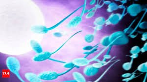 Increase Sperm Count & Motility Medicine In Nagpur