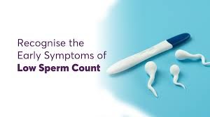 Low Sperm Count Medicine In Raipur