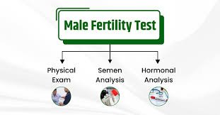 Male Infertility Testing In Raipur