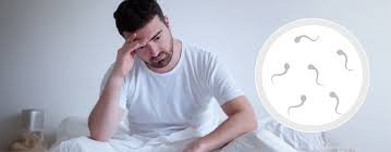 Male Infertility Testing Near Me In Jabalpur