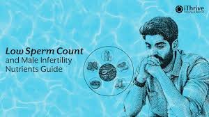 Medication For Sperm Count In Raipur
