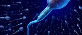 No Sperm Count Treatment In Jabalpur