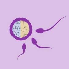 Oligospermia Treatment In Jabalpur
