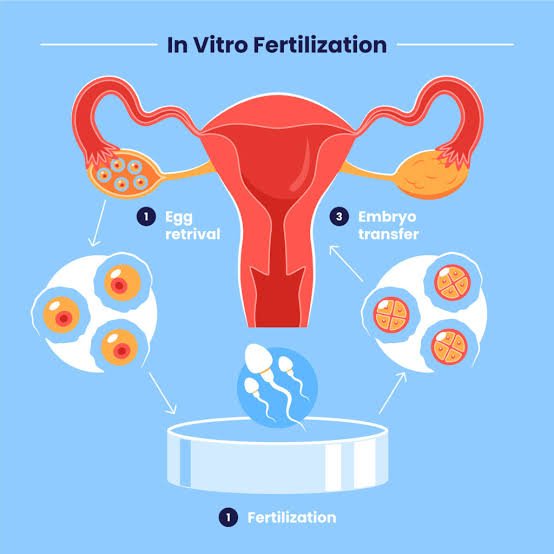 Advance IVF Center In Raipur