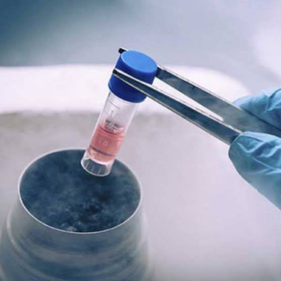 Best Frozen Embryo Transfer Center In Raipur