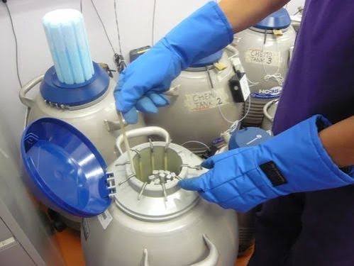 Embryo Freezing Center In RaipurEmbryo Freezing Center In Raipur