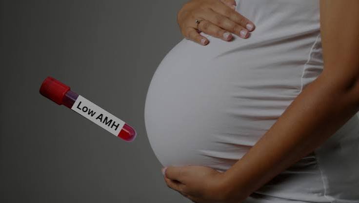 Female Infertility Treatment For Low AMH In Raipur