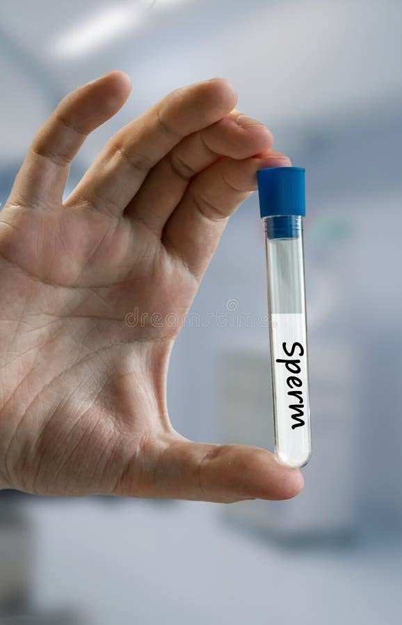 Best Medicine For Nil Sperm Count In Jabalpur