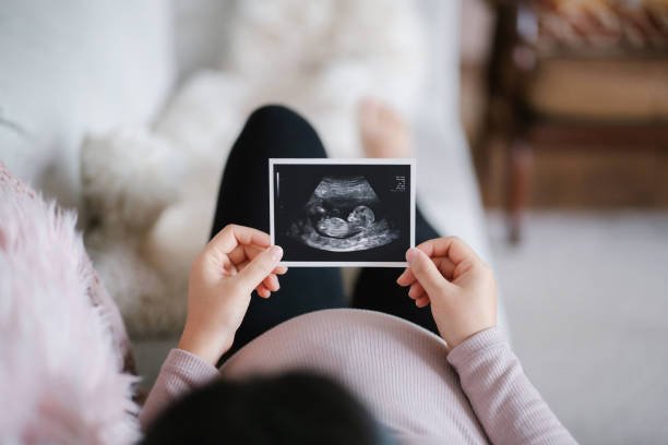 Women Fertility Medicine In Jabalpur